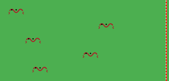 cockroach-race